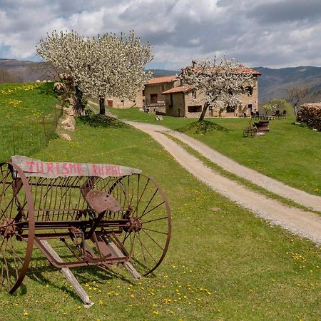 يانارس Can Gallo المظهر الخارجي الصورة