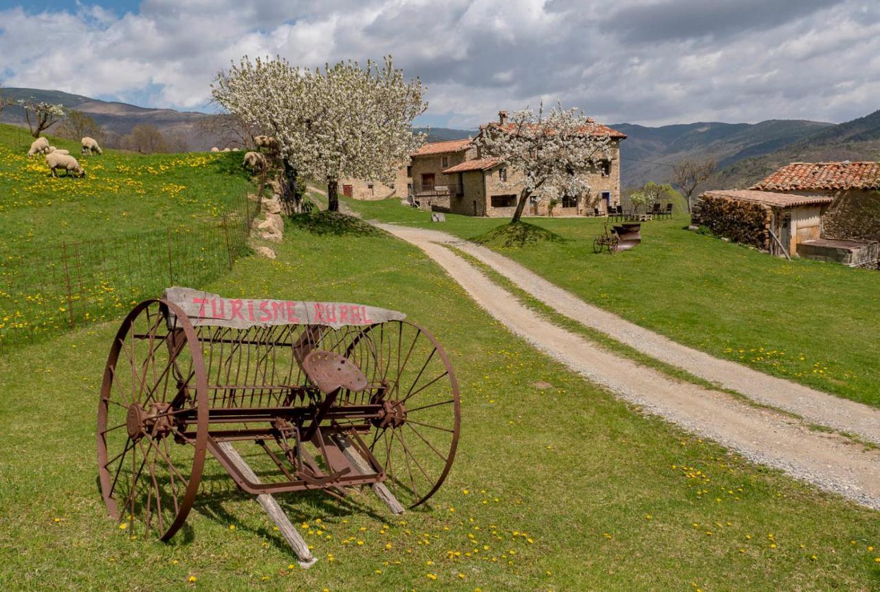 يانارس Can Gallo المظهر الخارجي الصورة