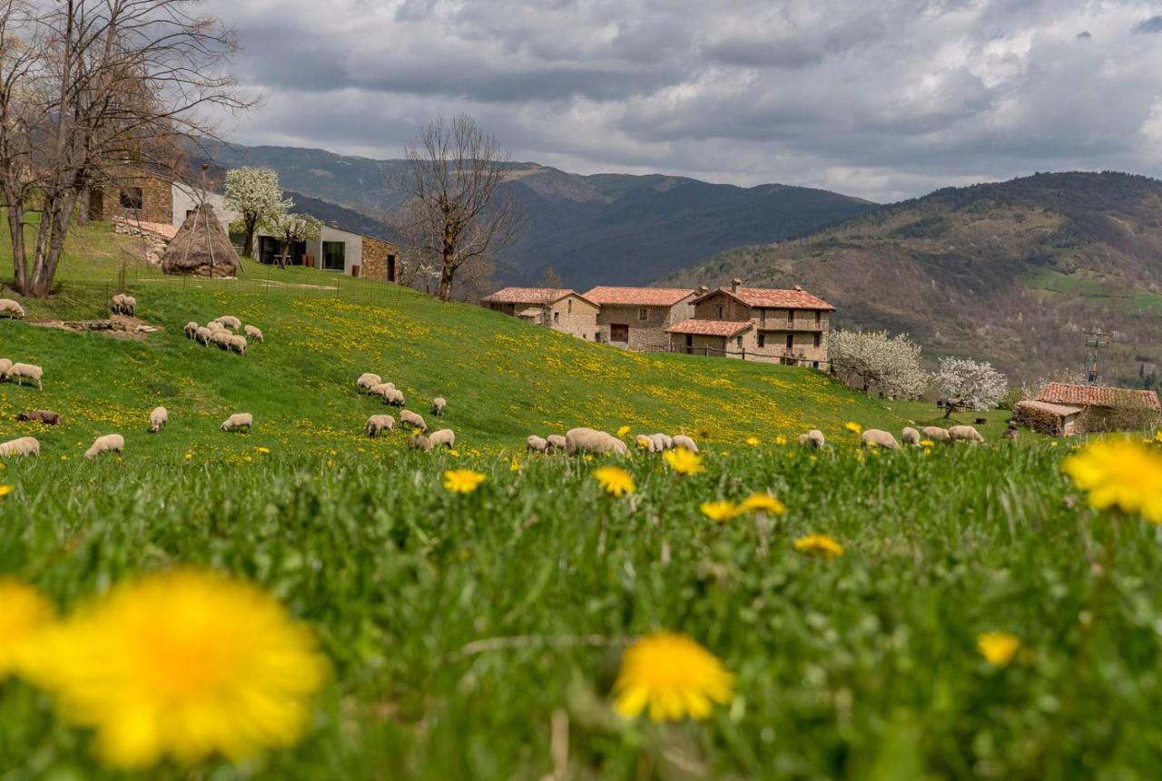 يانارس Can Gallo المظهر الخارجي الصورة